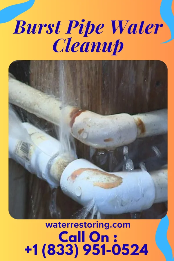 Burst Pipe Water Cleanup in Worthington, IN