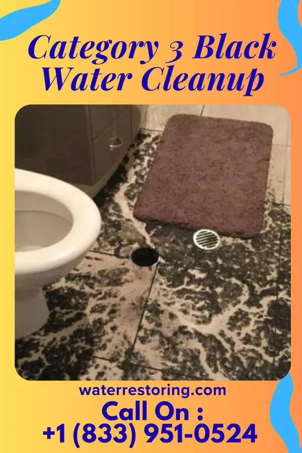 Category 3 Black Water Cleanup in Worthington, IN