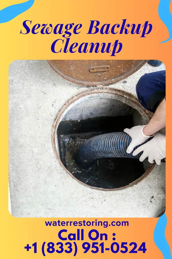 Sewage Backup Cleanup in Worthington, IN