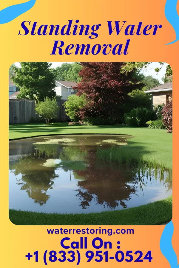 Standing Water Removal in Worthington, IN